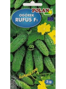 POLAN Ogórek gruntowy Rufus F1 korniszon 3g