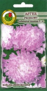 PNOS Aster peoniowy Anielka białoróżowy 0,8g