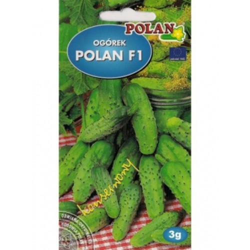 POLAN Ogórek gruntowy Polan F1 inkrust. 3g