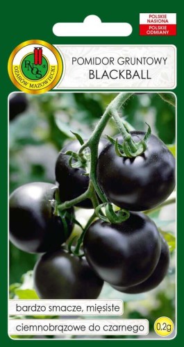 PNOS Pomidor koktajlowy Blackball 