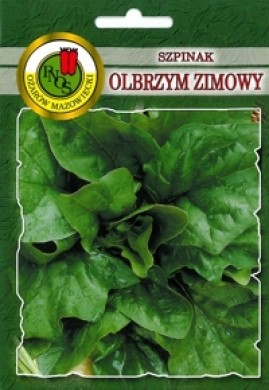 PNOS Szpinak Olbrzym Zimowy 500g