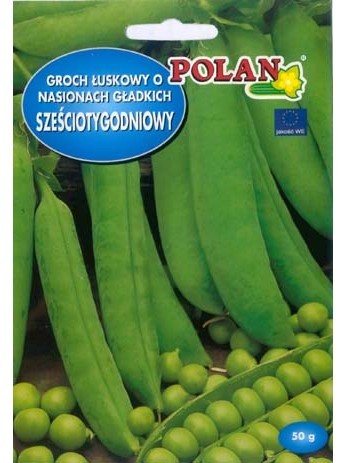 POLAN Groch Sześciotygodniowy 40g