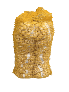 Cebula dymka zajmująca Senshyu Yellow 5-20mm 0,5kg