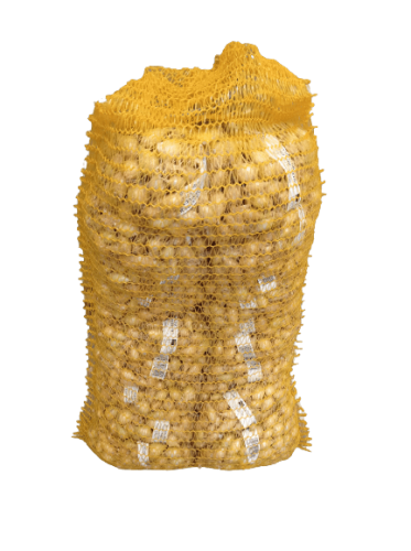 Cebula dymka zajmująca Senshyu Yellow 5-20mm 0,5kg