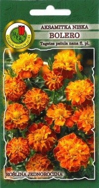 PNOS Aksamitka pełna niska Bolero miodowo-mahoniowa 1g