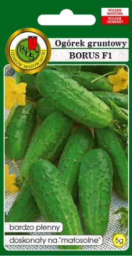 PNOS Ogórek gruntowy Borus F1 5g