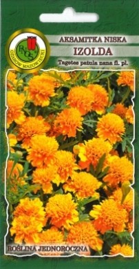 PNOS Aksamitka pełna niska Izolda brzoskiniowo-pomarańczowa 1g