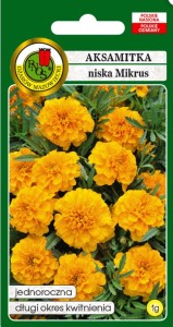 PNOS Aksamitka pełna niska Mikrus pomarańczowy 1g