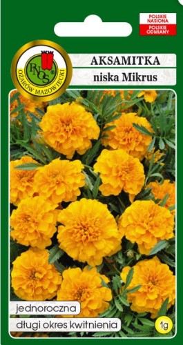 PNOS Aksamitka pełna niska Mikrus pomarańczowy 1g