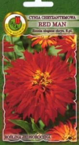 PNOS Cynia chryzantemowa Red Man czerwona 1g