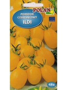 POLAN Pomidor gruntowy Ildi kokt. żółty 0,2g