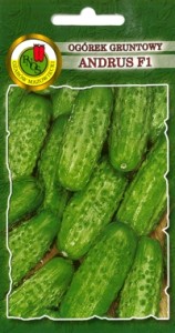 PNOS Ogórek gruntowy Andrus F1 50 g