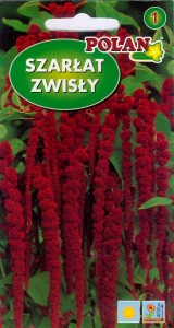 POLAN Szarłat Zwisły ciemnoczerwony 2g