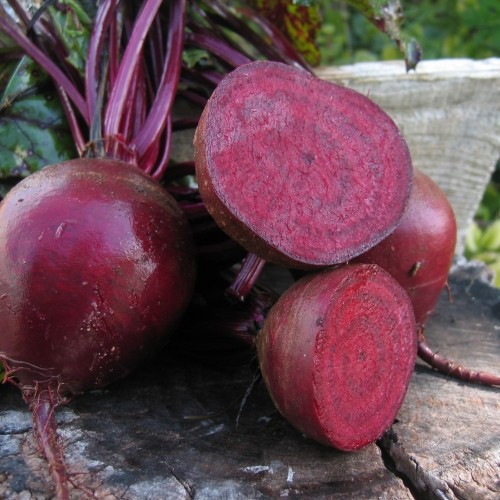 burak Pablo F1 50000 n Bejo Zaden