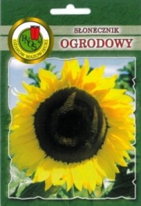 PNOS Słonecznik jadalny ogrodowy  500g