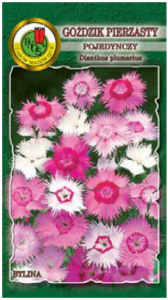 PNOS Goździk pierzasty pojedynczy mieszanka 0,5 g
