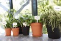 ELHO GREEN BASICS PODSTAWKA 10CM CZARNA