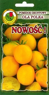 PNOS Pomidor gruntowy karłowy sztywnołodygowy Ola Polka 1g