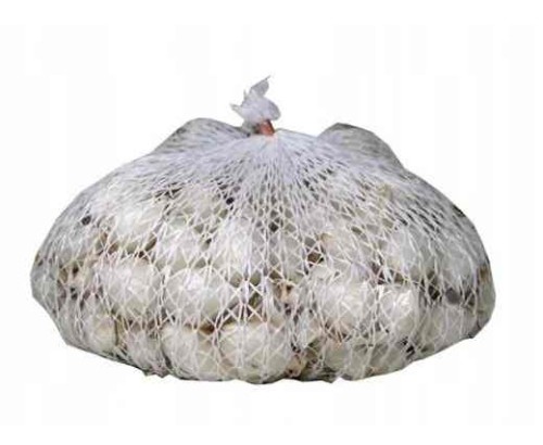 Cebula dymka Alibaba 0,25 kg