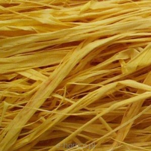 Rafia do szczepień 1kg