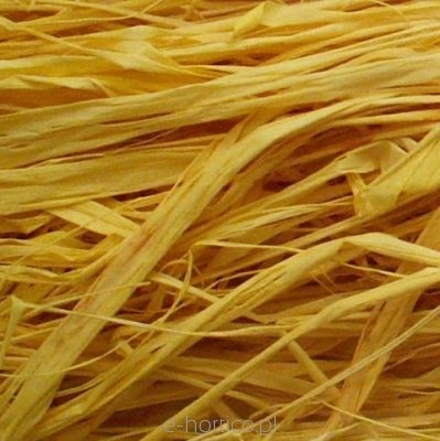 Rafia do szczepień 1kg