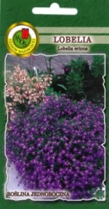 PNOS Lobelia Mitternachtsblau fioletowa 0,2g