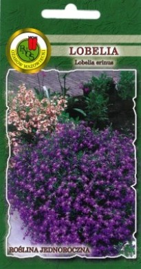 PNOS Lobelia Mitternachtsblau fioletowa 0,2g
