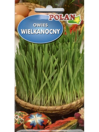 POLAN Owies wielkanocny 20g