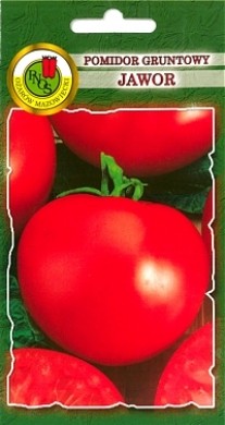 PNOS Pomidor gruntowy karłowy wiotkołodygowy Jawor 1g