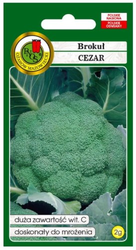 PNOS Brokuł Cezar 2g