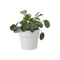 ELHO B.FOR ORIGINAL OKRĄGŁA OSŁONKA 18CM BIAŁA