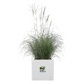 ELHO VIVO NEXT SQUARE 30cm DONICA KWADRATOWA BIAŁA