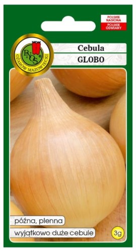 PNOS Cebula Globo 3g