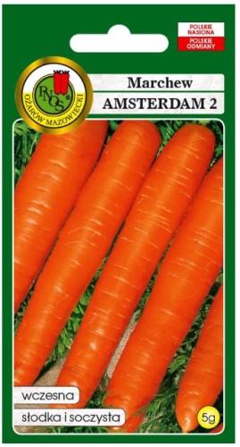 PNOS Marchew jadalna Amsterdam 2 5g