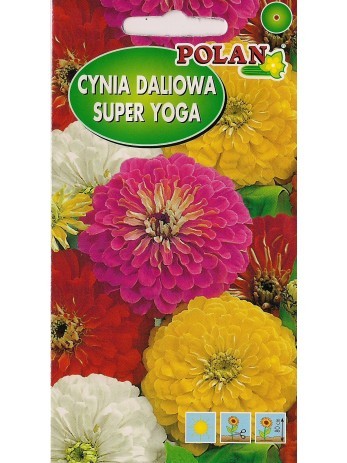 POLAN Cynia daliowa Super Yoga mieszanka 1g