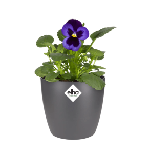 ELHO BRUSSELS OSŁONKA OKRĄGŁA MINI 12,5CM CIEMNO SZARA