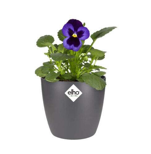 ELHO BRUSSELS OSŁONKA OKRĄGŁA MINI 12,5CM CIEMNO SZARA