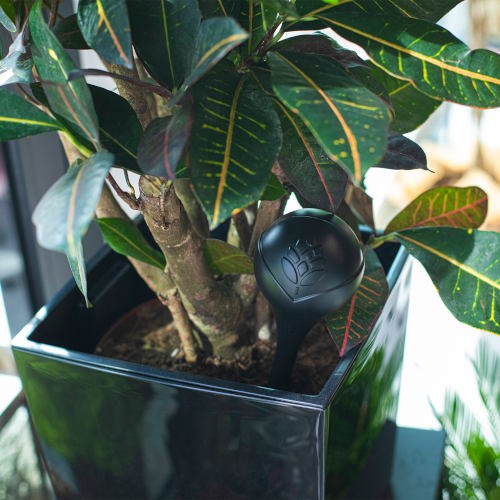 BROWIN KULE NAWADNIAJĄCE CZARNE MATOWE 4SZT. (400ML) 