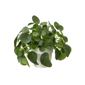 ELHO B.FOR ORIGINAL OKRĄGŁA OSŁONKA 22CM BIAŁA