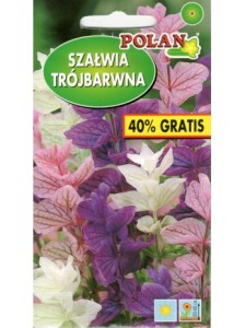 POLAN Szałwia trójbarwna mieszanka 0,5g + 0,2g