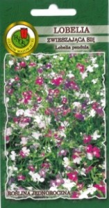 PNOS Lobelia zwieszająca się kaskadowa mieszana 0,1g