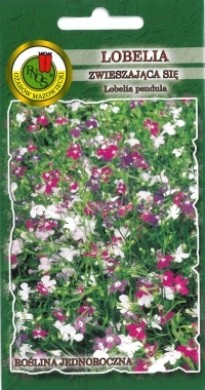 PNOS Lobelia zwieszająca się kaskadowa mieszana 0,1g