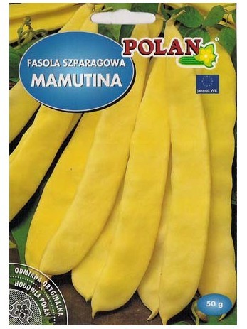 POLAN Fasola szparagowa Mamutina typ Mamut 50g