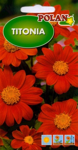 POLAN Titonia Pomarańczowa 1g