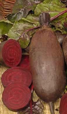 PNOS Burak ćwikłowy Bona 500g