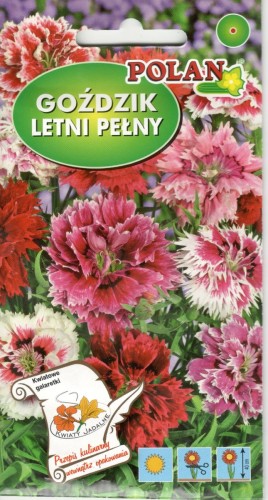 POLAN Goździk Letni Pełny Mieszany 1g