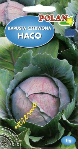 POLAN Kapusta Czerwona Głowiasta Haco 1g