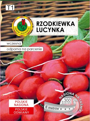 PNOS Rzodkiewka Lucynka na taśmie 6m