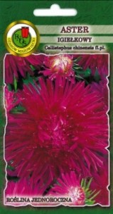 PNOS Aster igiełkowy Romeo wiśniowowrzosowy 0,8g