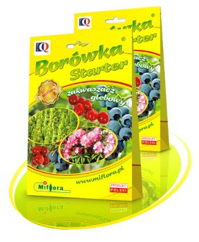 MIFLORA Borówka Starter 0,7 kg